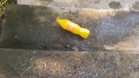 Crushing Crunchy & Soft Things! Breaking glass bottles