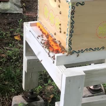 Santorini Hive landing board video August 2nd 2021