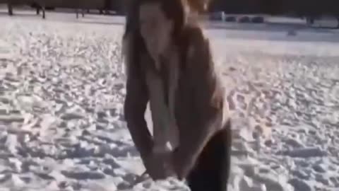 Funniest animal videos