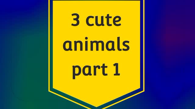 The cute animal on the world || part 1