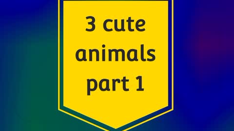 The cute animal on the world || part 1