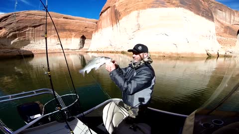 Lake Powell 2015