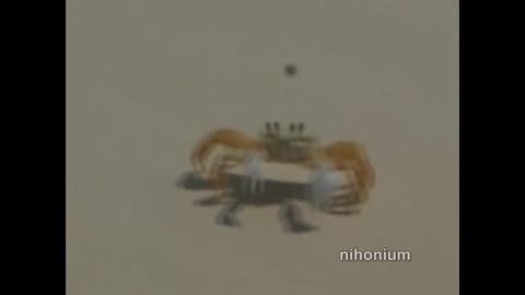 crabbo