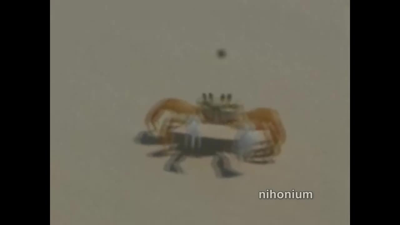 crabbo