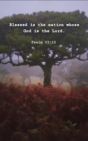 Look around at the godless nations | Check Description