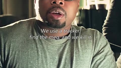 Movie Clips
