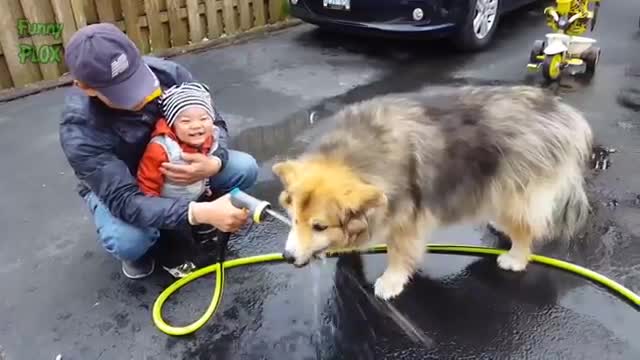 HILARIOUS ADORABLE BABIES - Funny Baby Videos