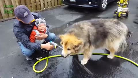 HILARIOUS ADORABLE BABIES - Funny Baby Videos