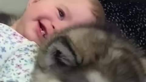 Adorable Puppy Meet Baby Love From First Sight!