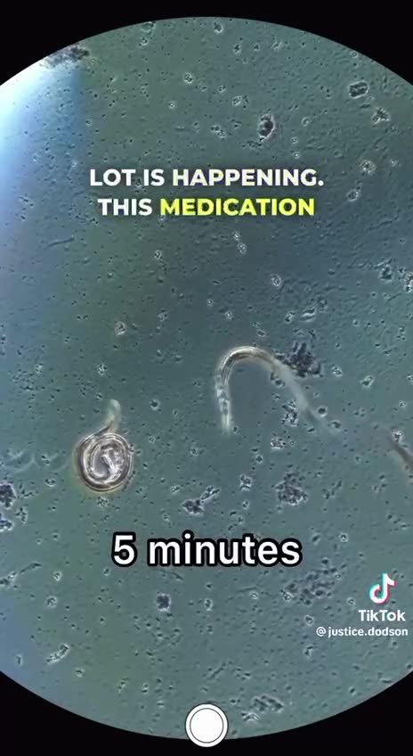 video demonstrating the FACT that ivermectin kills parasites