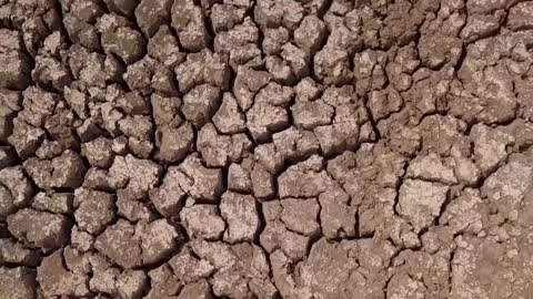 Climate Change_ What is loss and damage_