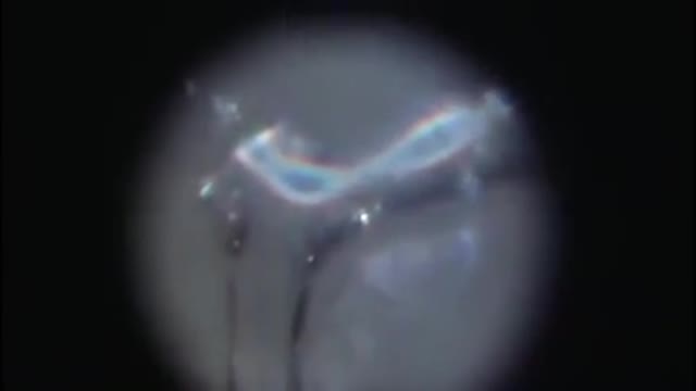 MARKED ! COV-ID PCR (NANO-BOT) SWABS [HOME MICROSCOPE TEST]