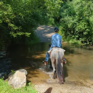 Waterloo Creek Crossing - Nolund on Steele - 7 Aug 2024