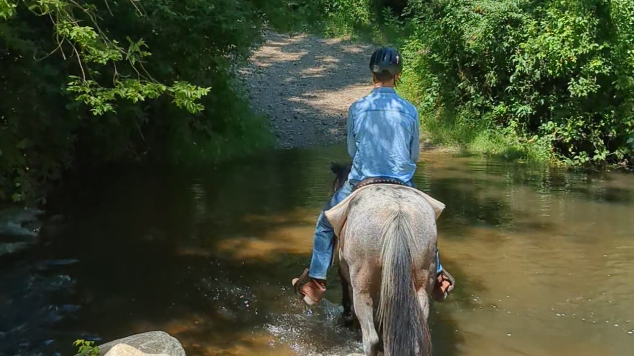 Waterloo Creek Crossing - Nolund on Steele - 7 Aug 2024