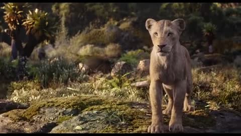 Can You Feel the Love Tonight (From "The Lion King")