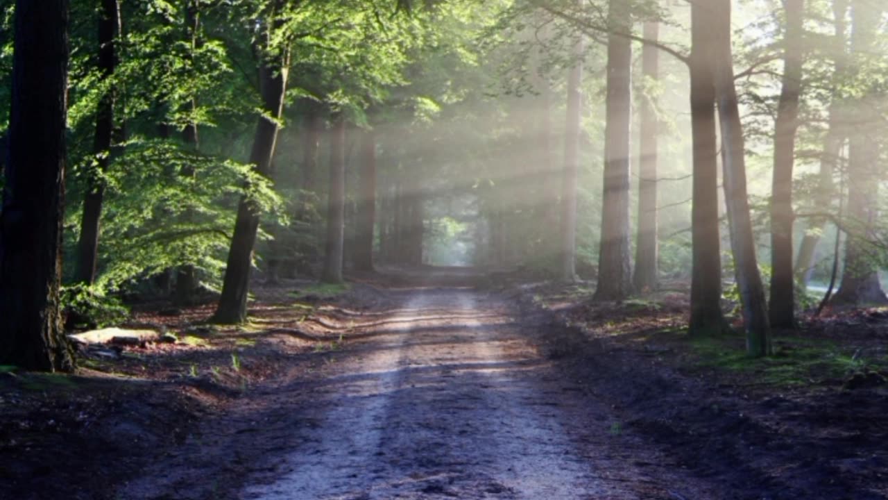 Nature beauty