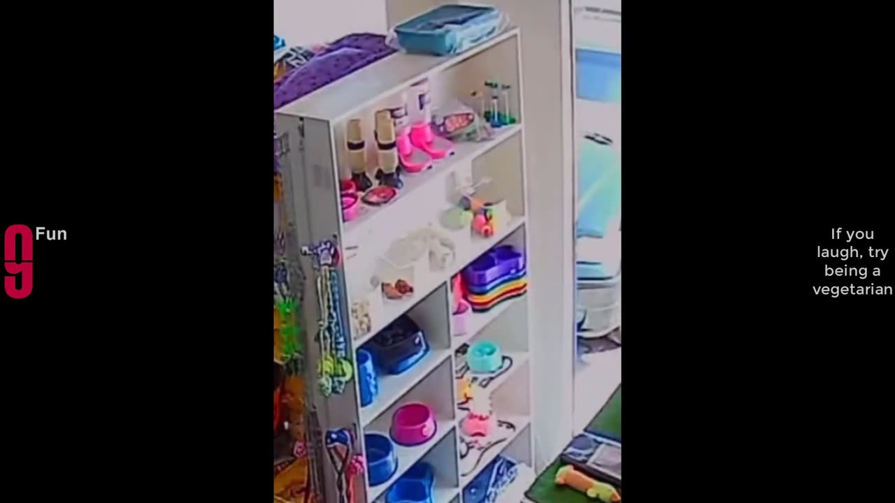 TRY NOT TO LAUGH Best Funny Videos Compilation | Comedy funny video .