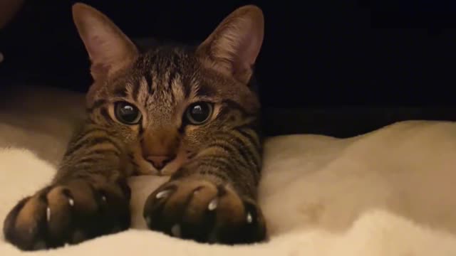 My little cute