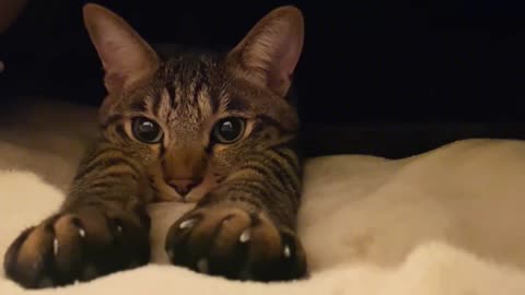 My little cute