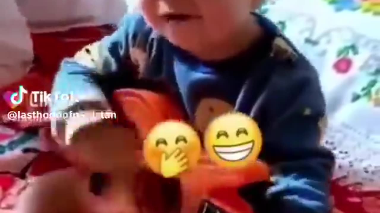 Funny video