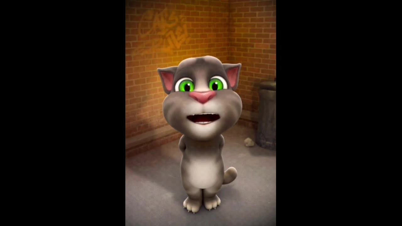 Talking Tom, cute cat video