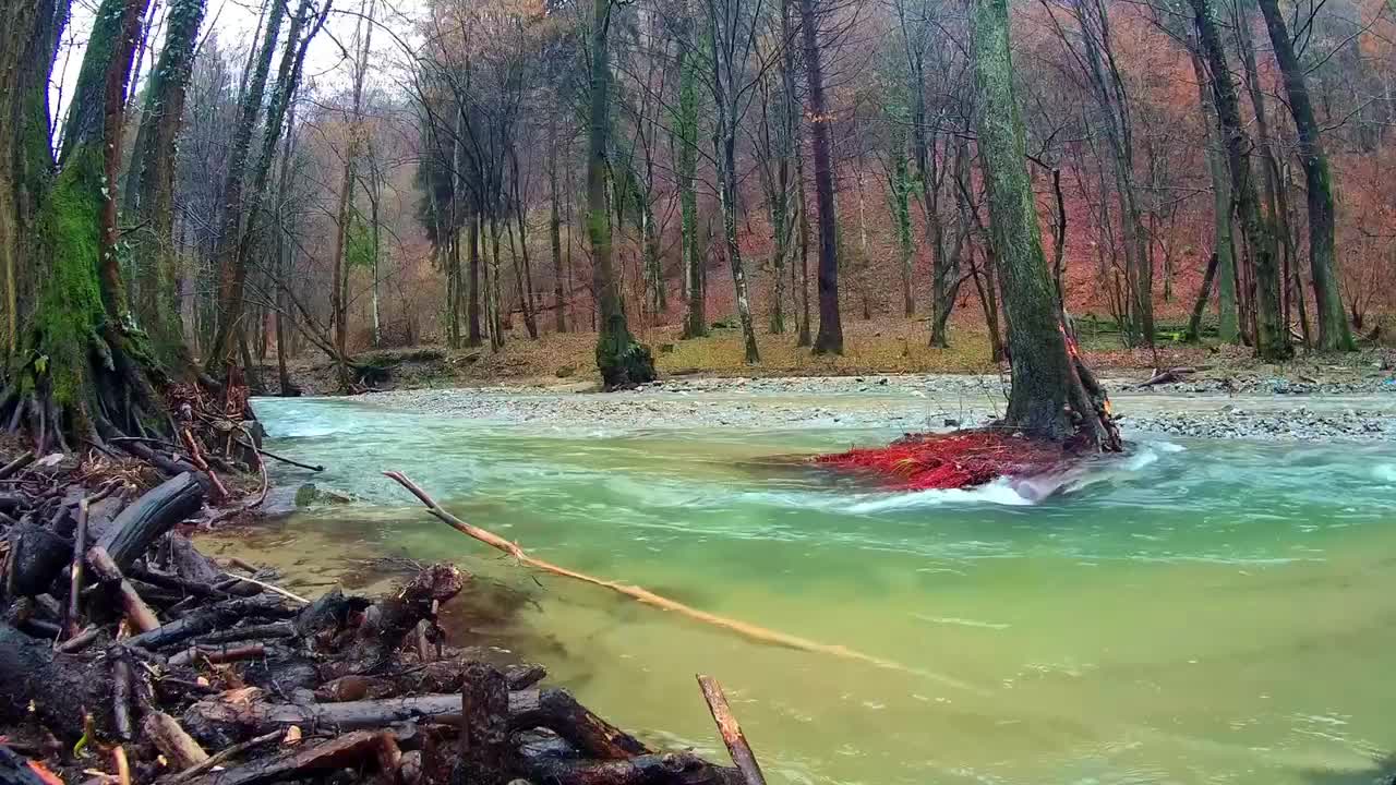 Amazing videos of nature, will make you relax and sleepy