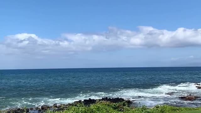 Just a quick peek at the 🌊 - wishing you a terrific Tuesday