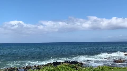 Just a quick peek at the 🌊 - wishing you a terrific Tuesday