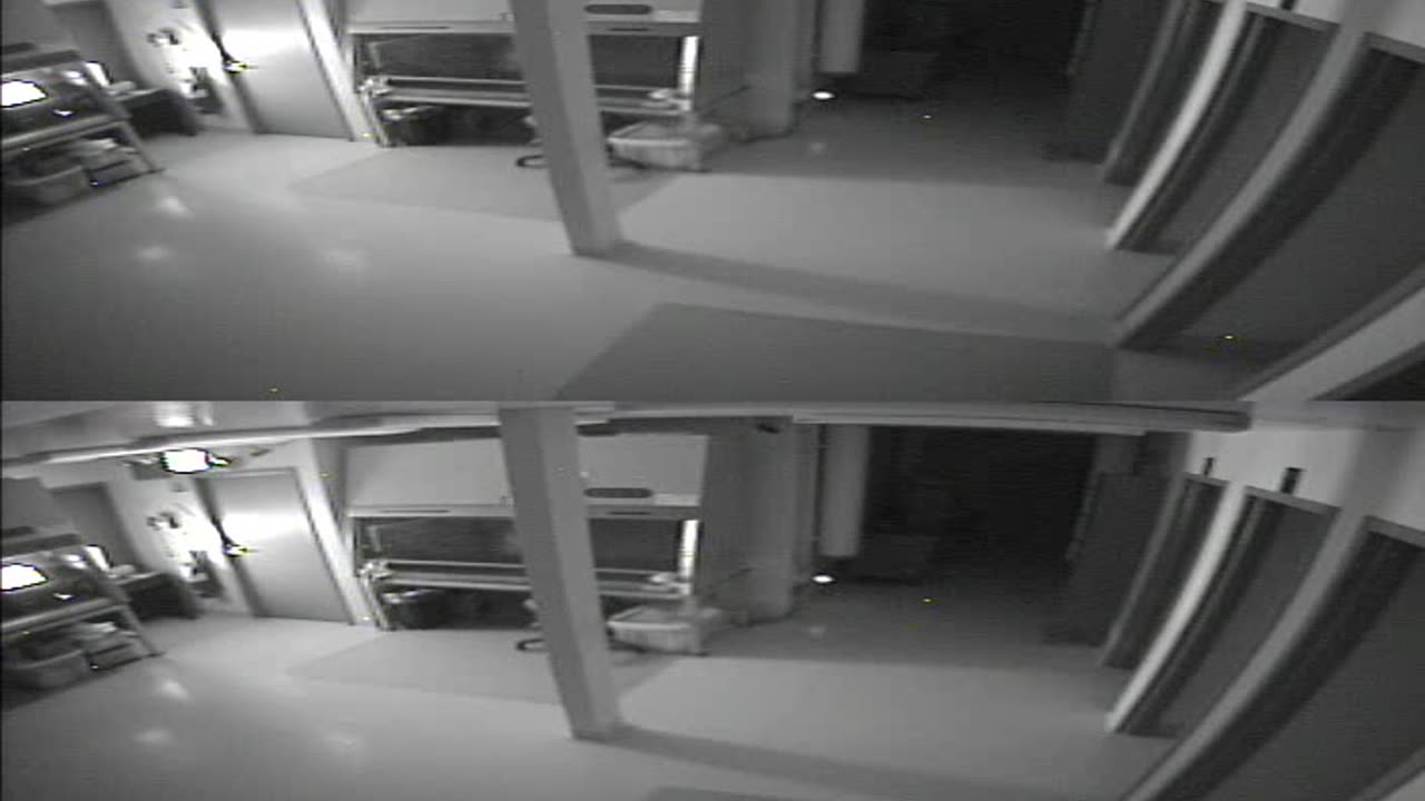 1702CRIB01CribAnalysisArea_2021-01-05_06h40min00s447ms.mp4