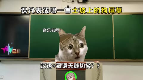 Cartoon cats school study funny cartoon enjoy