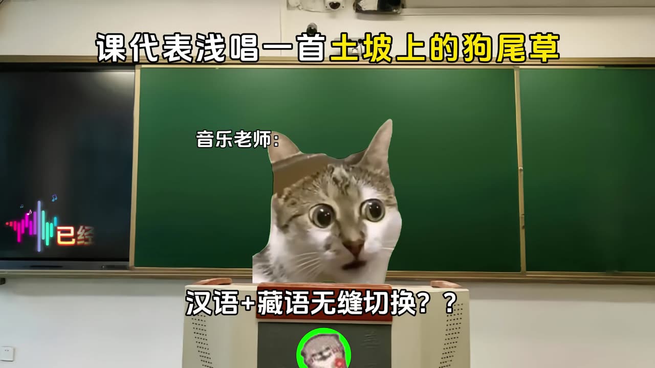 Cartoon cats school study funny cartoon enjoy