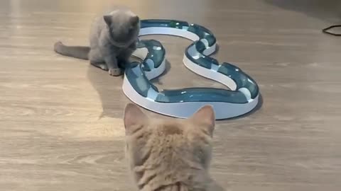 Hallo, Rufus & Elliot!