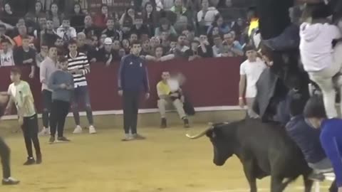 Bullfighting is a popular and interesting