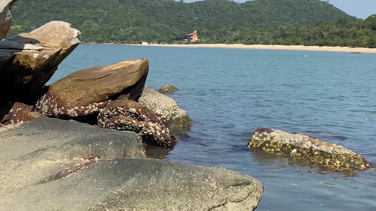 7/10 - Baia dos Golfinhos | Governador Celso Ramos - SC