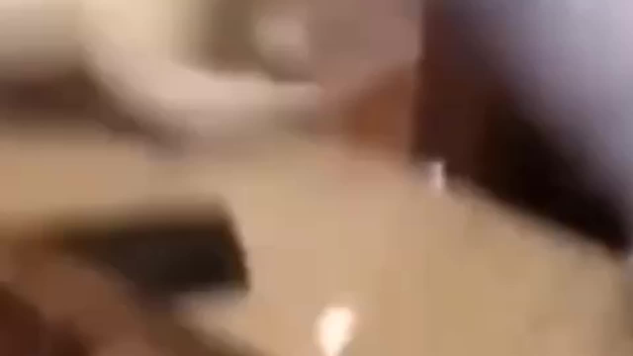 #funny video #funny dog video #funny cat video #funny short video
