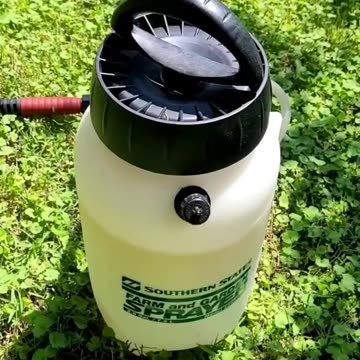 4th Time's the Charm