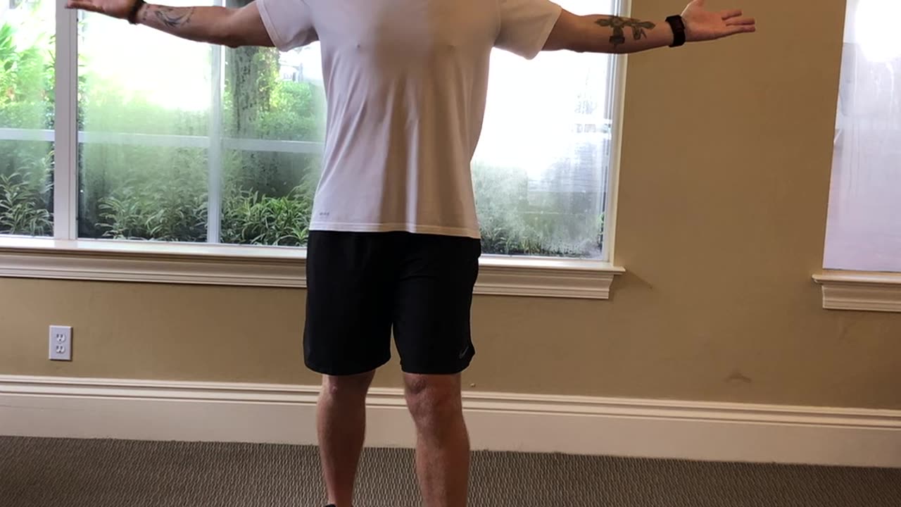 Split Stance (SS) Arm Reverse Swings