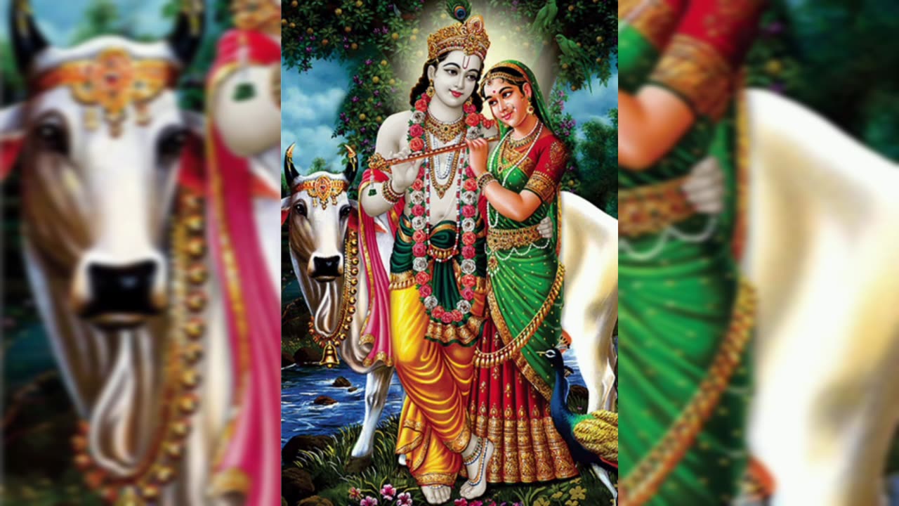 Most peaceful ❤️ song in the whole world 🌎🌍