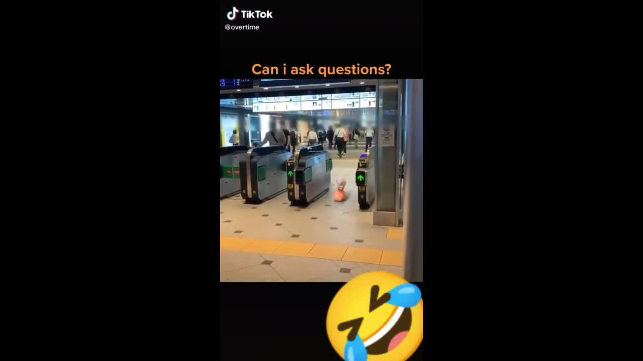 💗WATCH THIS CUTE AND FUNNY LITTLE PORK AT THE AIRPORT🐷