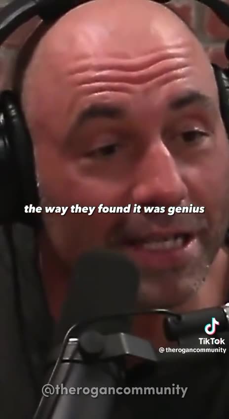 F**K SHIA LABEOUF 😂😂😂 MAGA PEPE