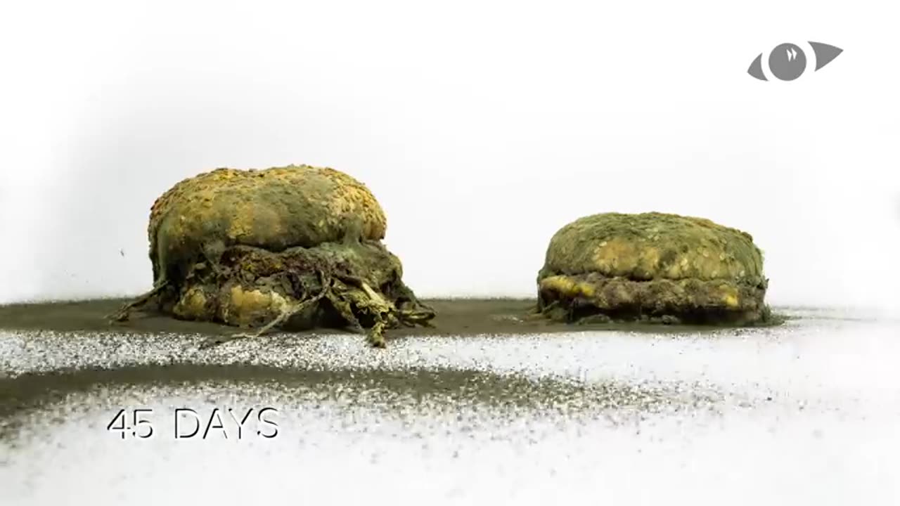 Burger Timelapse Battle