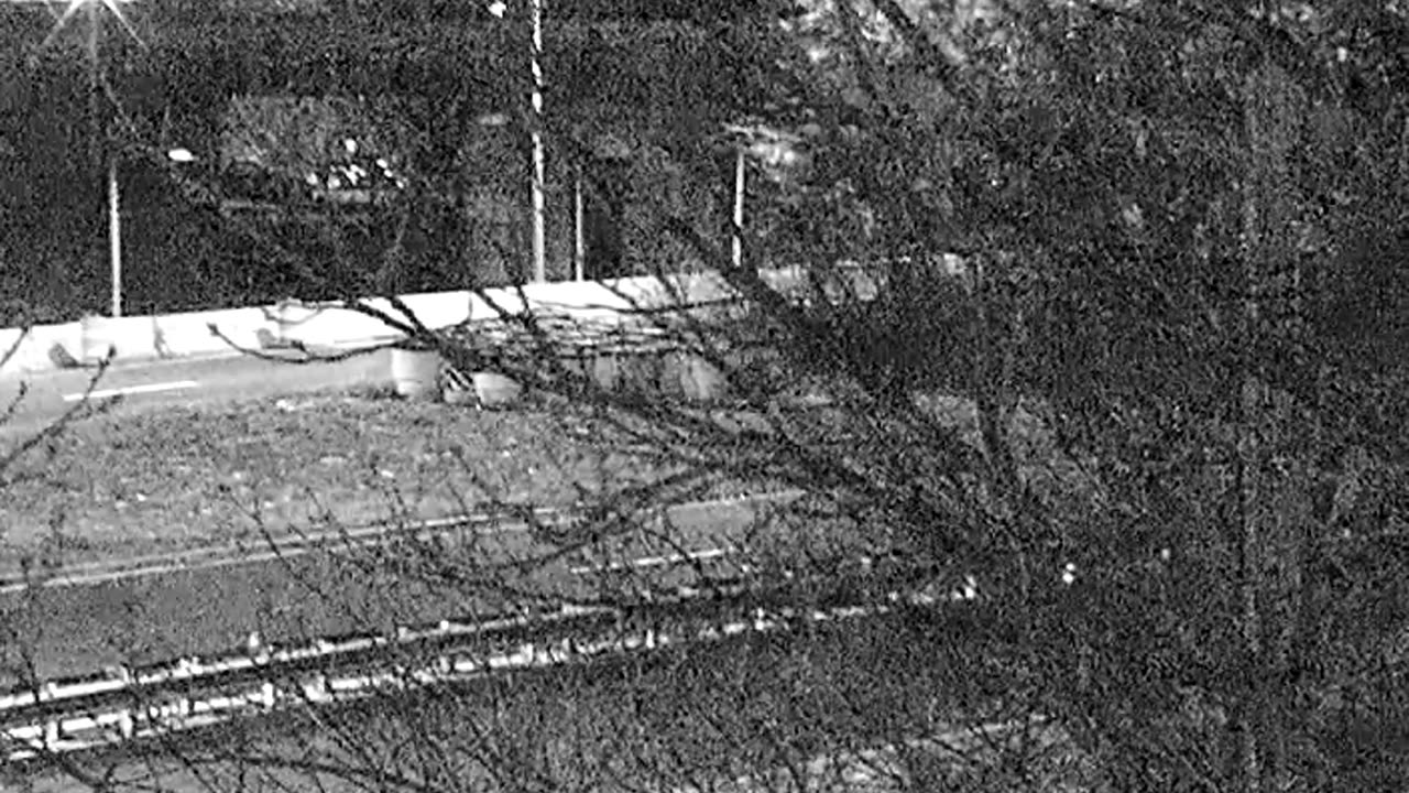 4405LOTS00Lot8-9East_2021-01-05_05h35min10s070ms.mp4