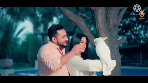 bewafayan rahat Fateh Ali Khan song_2
