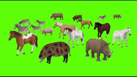 Animals safari on green screen full HD free