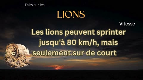 Fait sur le Lion 8 - Quelle est la vitesse d'un lion?