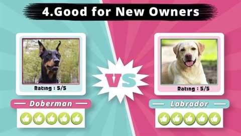 doberman vs labrador