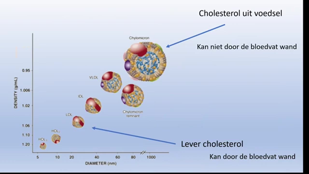 Pierre Capel - The Good The Bad and The Healthy