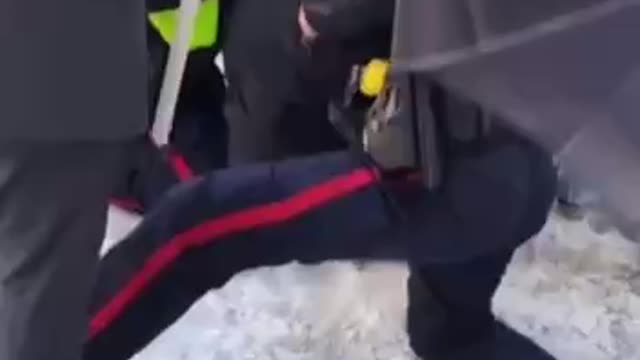 Police Violently Arresting People Taking Fuel To Truckers In Canada