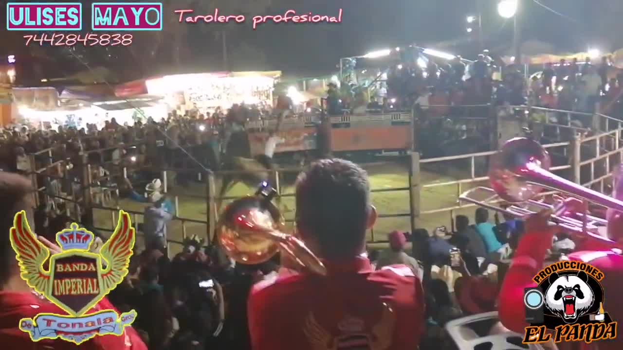 BANDA IMPERIAL DE TONALA GRO. 🎶🥁🎺📯