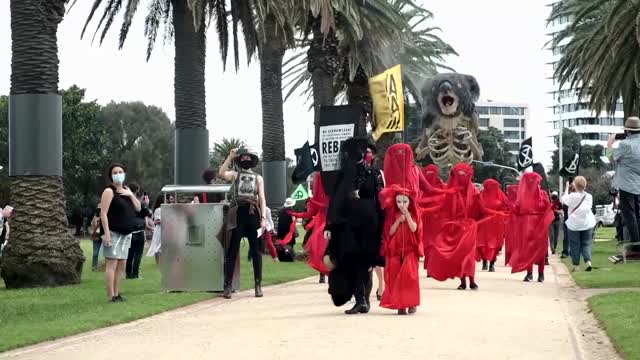 Australian climate activists march with dead Koala float